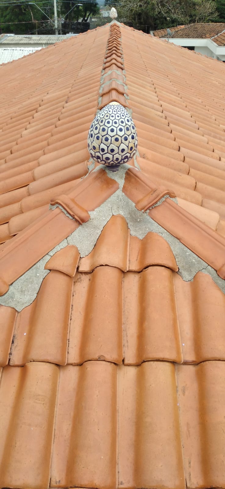 Telhado residencial com telhas cerâmicas e ornamento decorativo no espigão, típico de residências atendidas pela empresa.