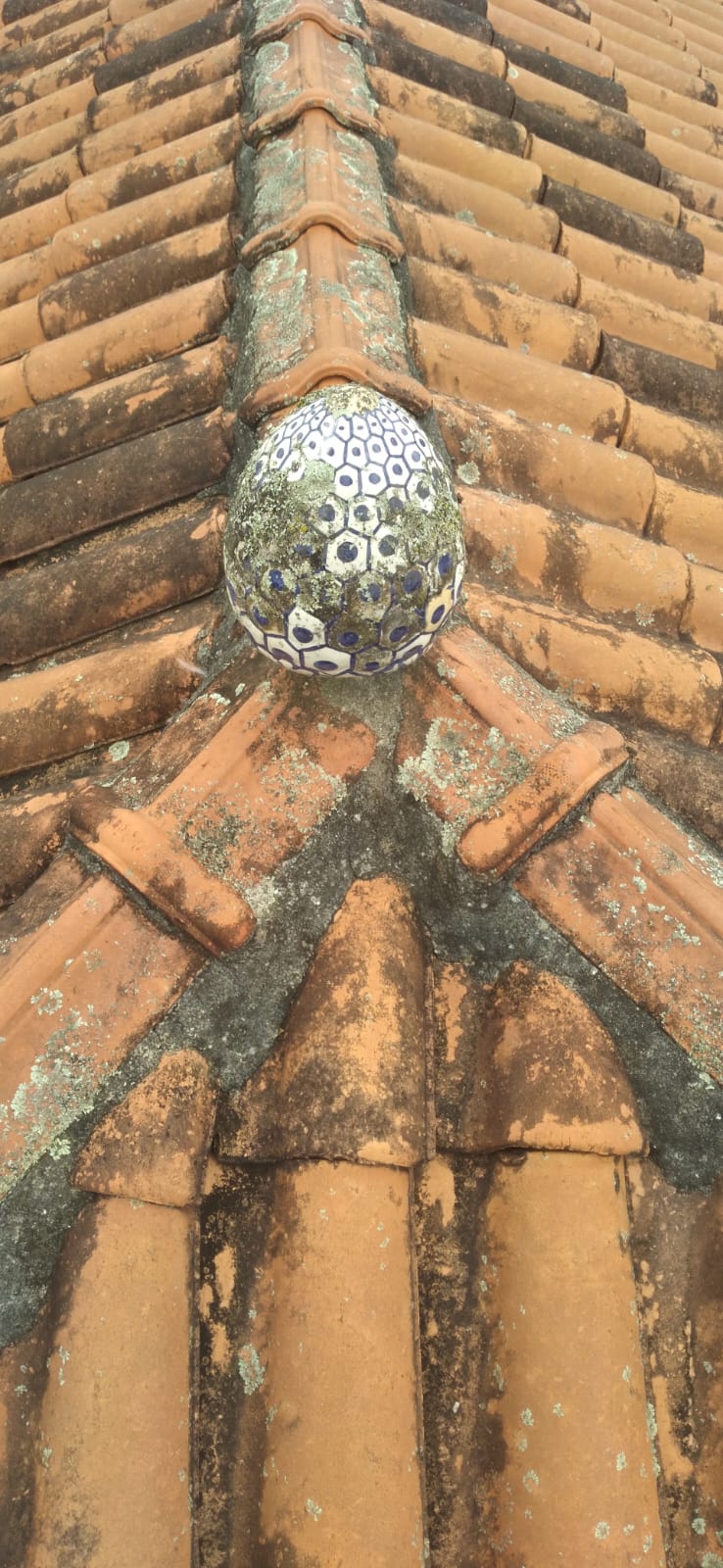 Telhado residencial cerâmico com acúmulo de musgos, líquens e sujeira, evidenciando a necessidade de lavagem profissional.